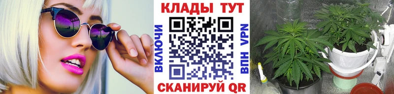 Где купить наркотики Томари kraken ТОР  Гашиш  Бошки Шишки  КОКАИН 