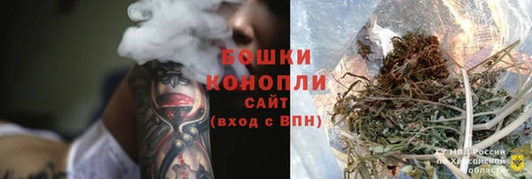 стаф Богородск