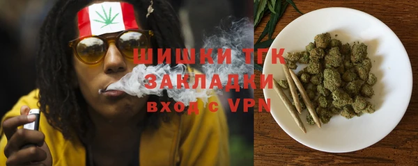 стафф Богородицк