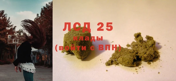 стафф Богородицк