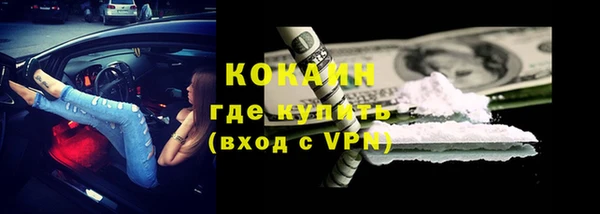 стаф Богородск