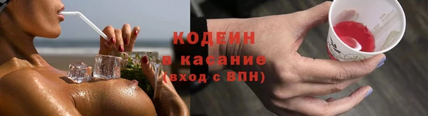 прущий лед Богданович