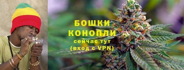 стаф Богородск