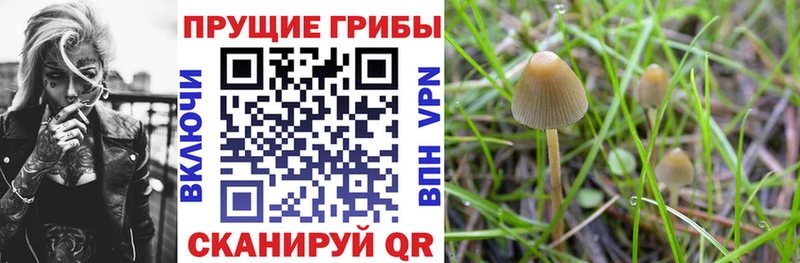 Галлюциногенные грибы Magic Shrooms  Томари 